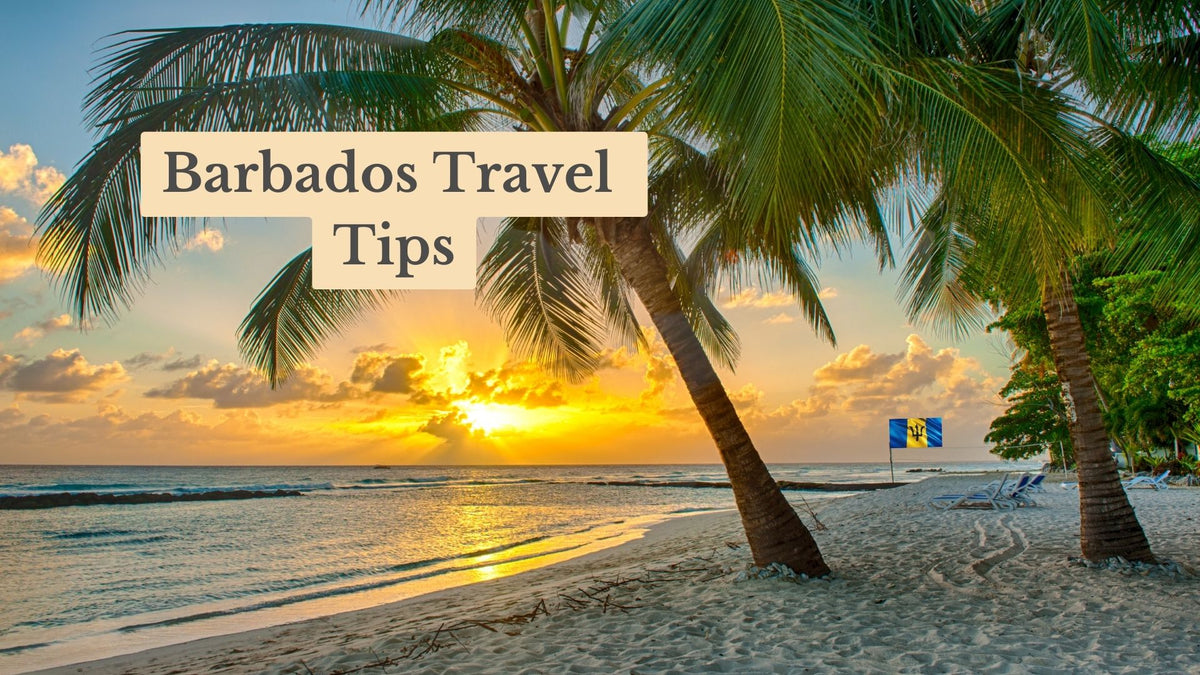 Sunset over the sea from a Barbados beach with leaning palm trees, lounge chairs and a Barbados flag; title text reads "Barbados Travel Tips".