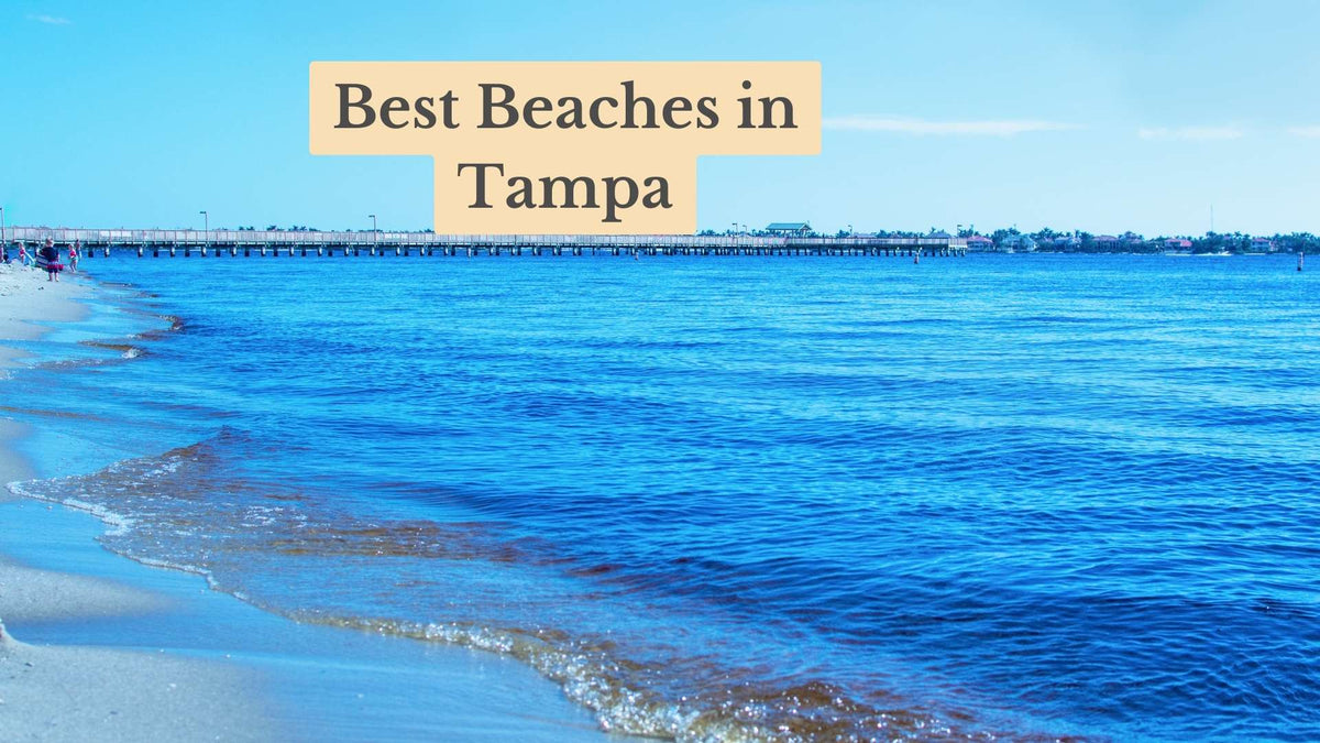 Title card "Best Beaches in Tampa" over blue water lapping a sandy shore, with a long pier and distant shoreline behind.