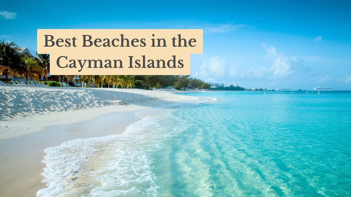Turquoise water washing onto a white sand beach lined with palm trees, with the title text "Best Beaches in the Cayman Islands".