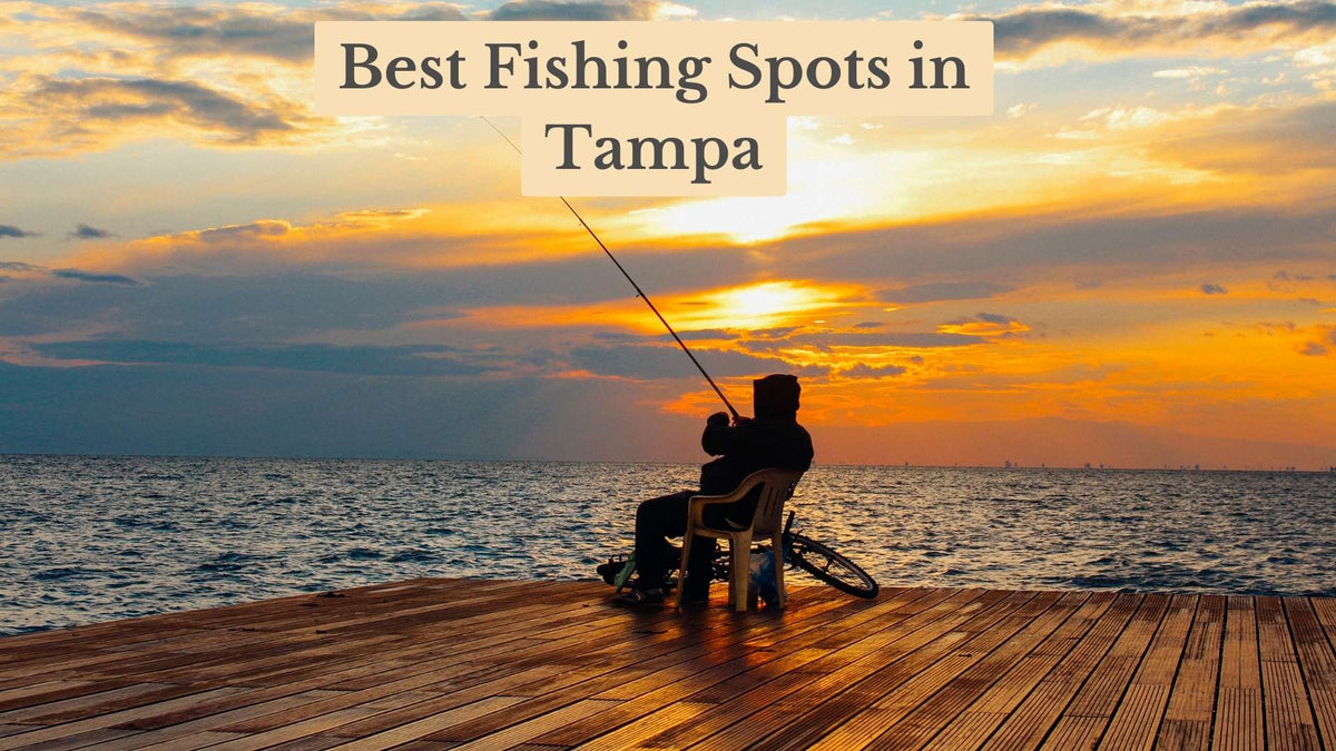 Title card "Best Fishing Spots in Tampa" over a silhouetted angler seated on a wooden pier, casting into the sea at sunset