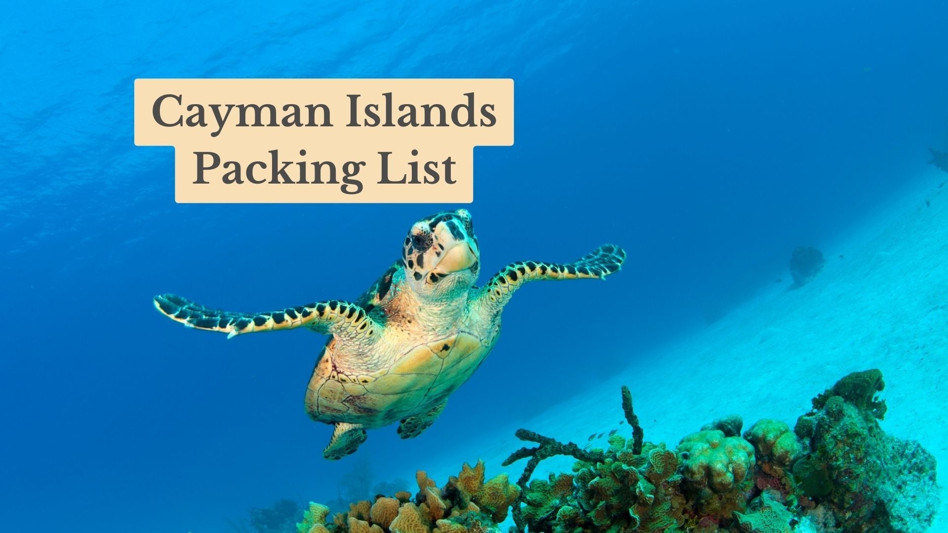 The Comprehensive Cayman Islands Packing List (2026)