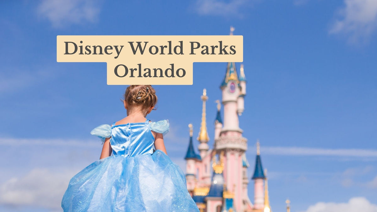 Girl in a blue princess gown seen from behind, looking at a pink fairytale castle under a blue sky; title reads "Disney World Parks Orlando".