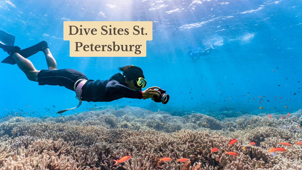 Diver in fins and mask photographs a shallow coral reef with orange fish; title text reads "Dive Sites St. Petersburg"