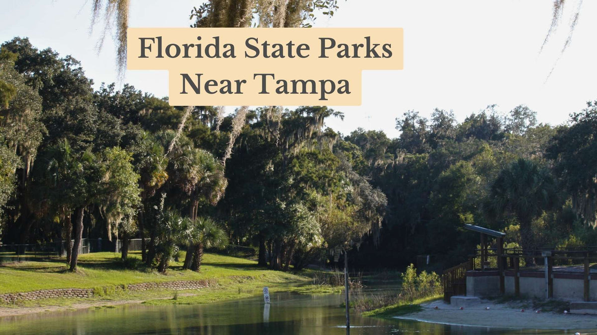 Title card "Florida State Parks Near Tampa" over a calm spring lined with moss-draped oaks, palms, a grassy bank and a small swim dock.