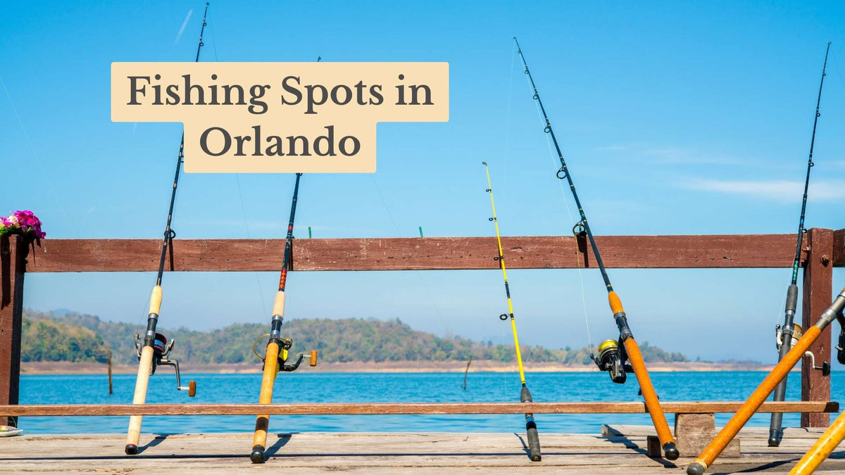 Fishing rods propped against a wooden dock railing beside a blue lake, with title text "Fishing Spots in Orlando"
