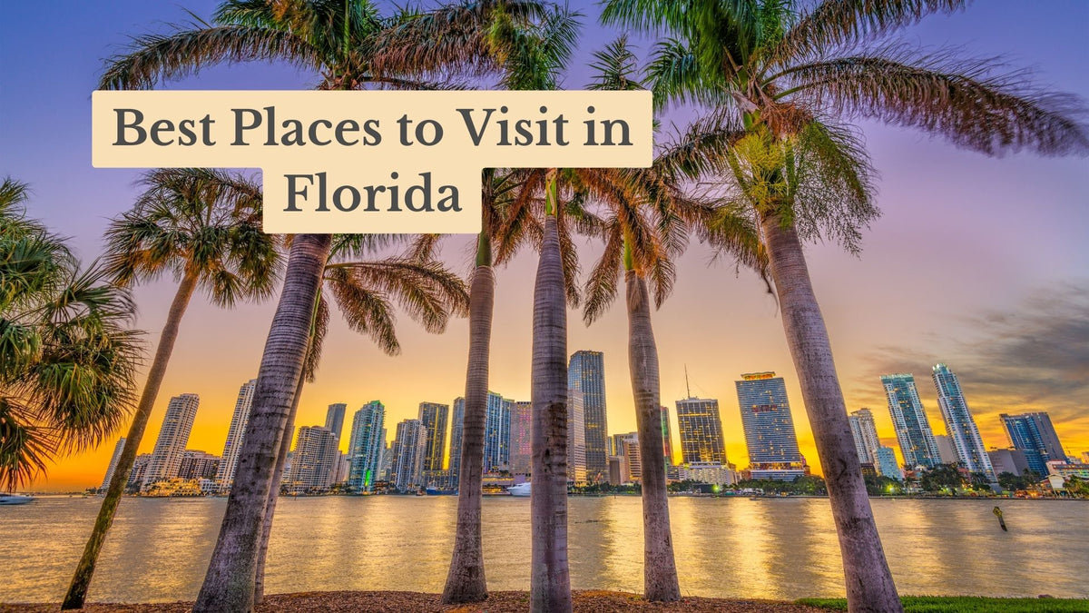 Palm trees frame a waterfront city skyline of high-rises at sunset, with title text "Best Places to Visit in Florida".