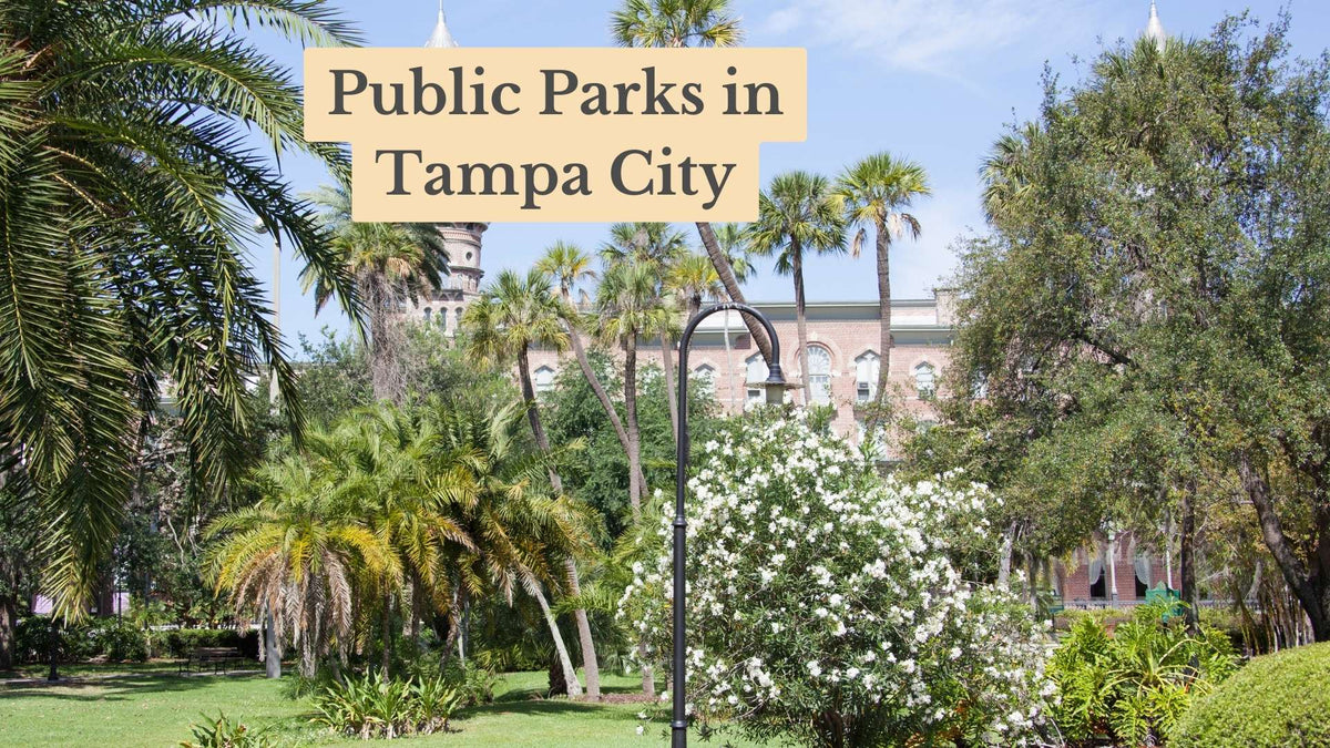 Title card "Public Parks in Tampa City" over a sunny park with palm trees, a white flowering bush, a lamppost and a brick building behind.
