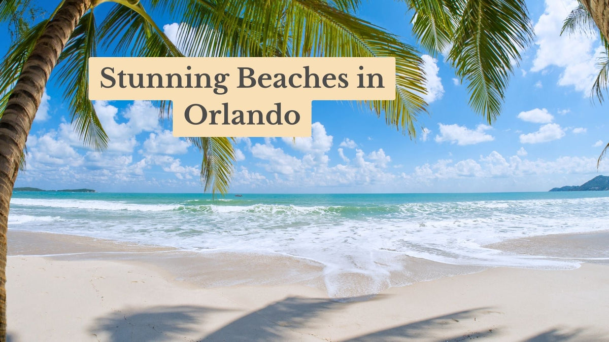 Cover image reading "Stunning Beaches in Orlando" over a tropical beach with palm fronds, white surf and a blue sky