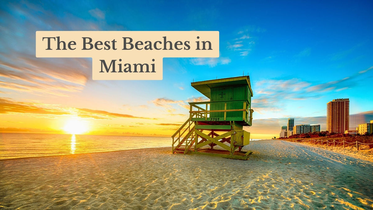 Title card "The Best Beaches in Miami" over a green lifeguard tower on a sandy beach at sunrise, with high-rises in the distance
