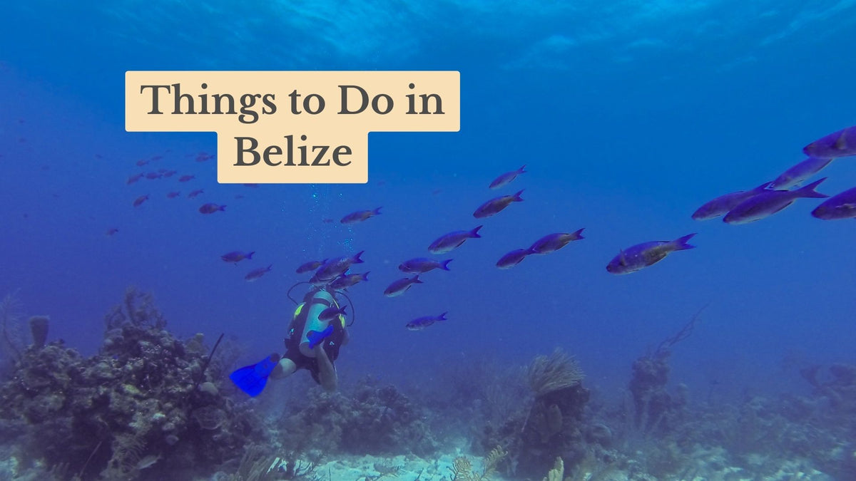 Scuba diver with blue fins swims over a coral reef as a school of purple fish passes; overlay text reads "Things to Do in Belize".