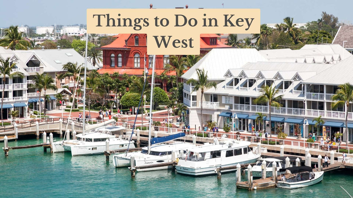 Things to Do in Key West: boats moored at a marina with palm trees, a red brick building and waterfront shops behind
