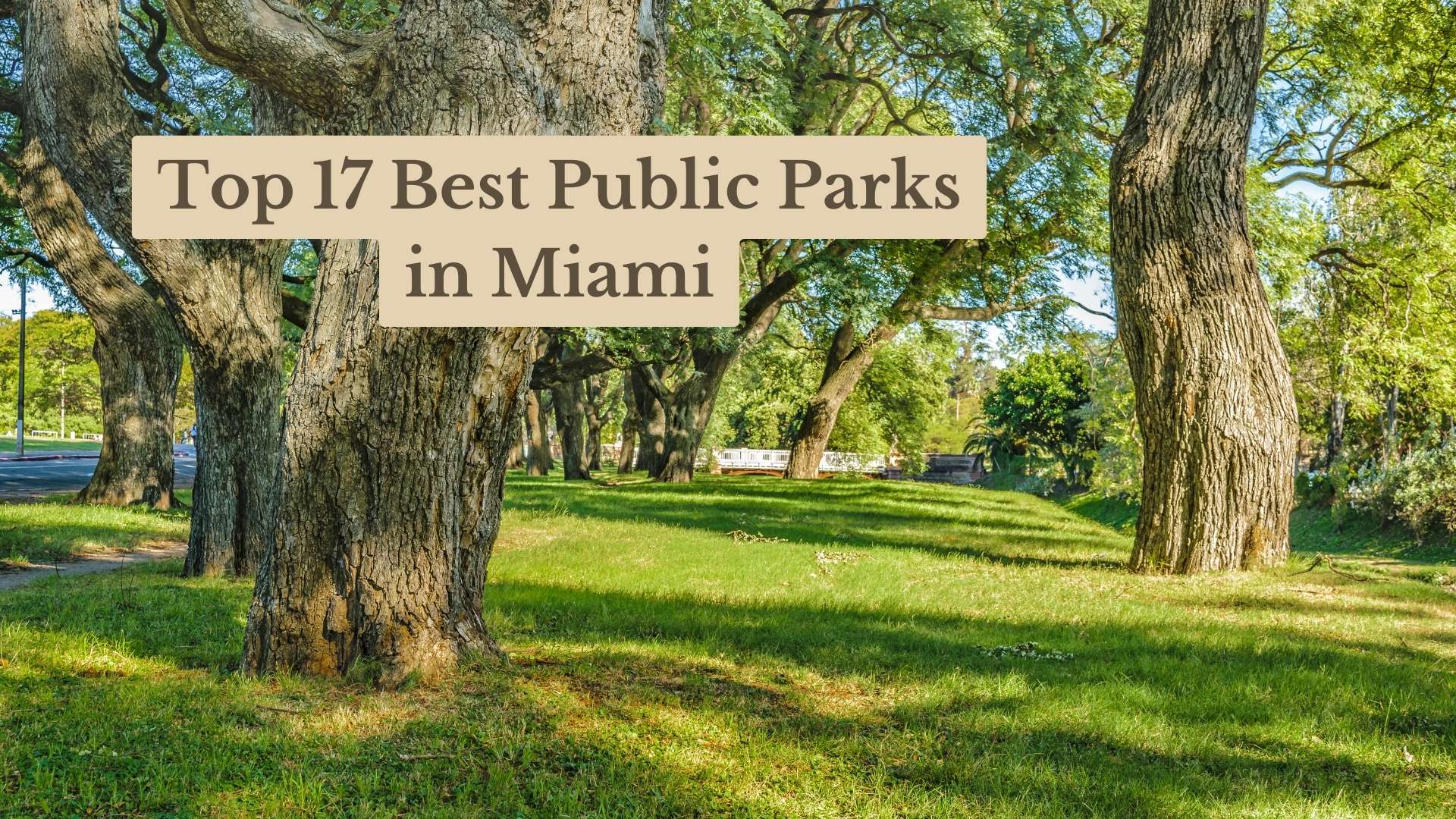 Top 17 Best Public Parks in Miami: Must-Visit Open Spaces