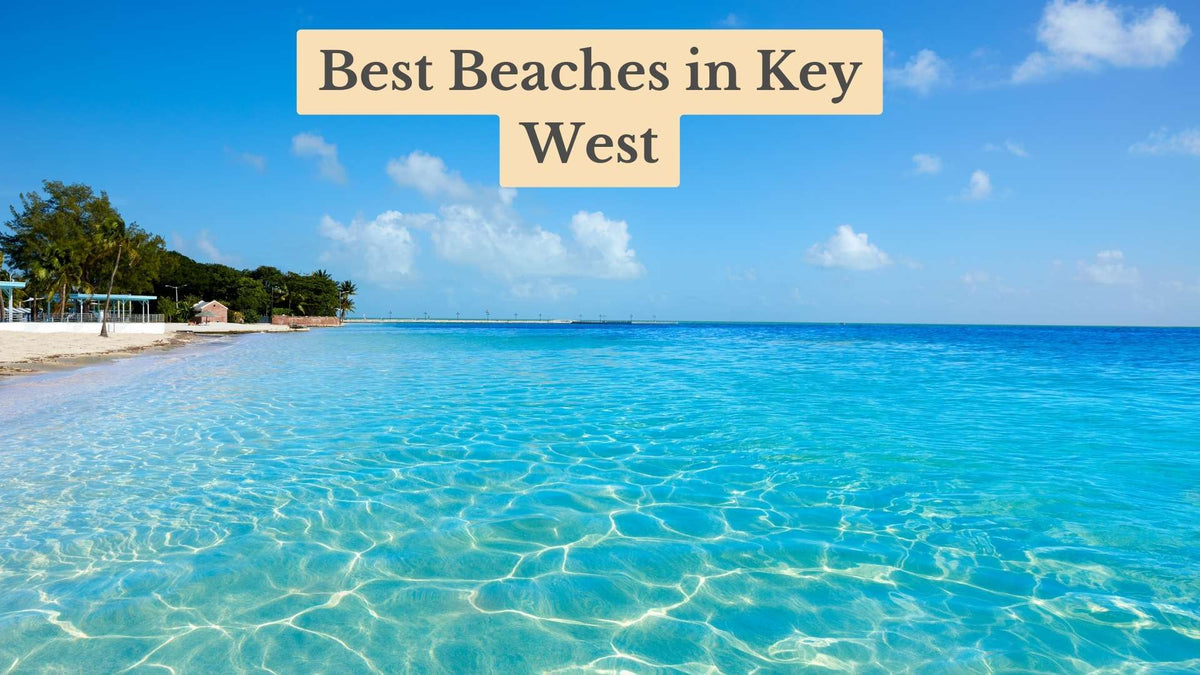 Clear turquoise water and a sandy shore with palm trees under a blue sky, titled "Best Beaches in Key West"