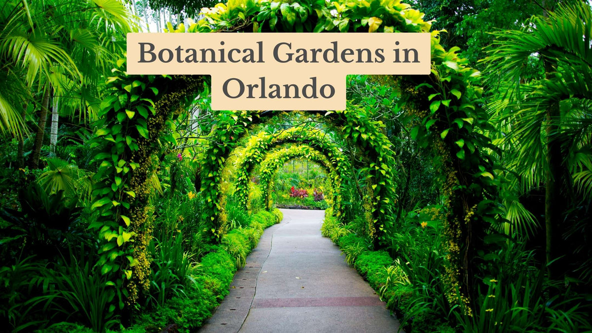 Title card "Botanical Gardens in Orlando" over a garden path winding through a series of vine-covered green arches.