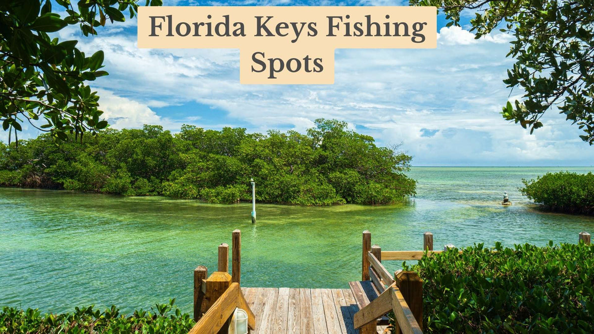 Florida Keys Fishing Spots title over a wooden dock leading to turquoise shallow water and a mangrove island under a blue sky