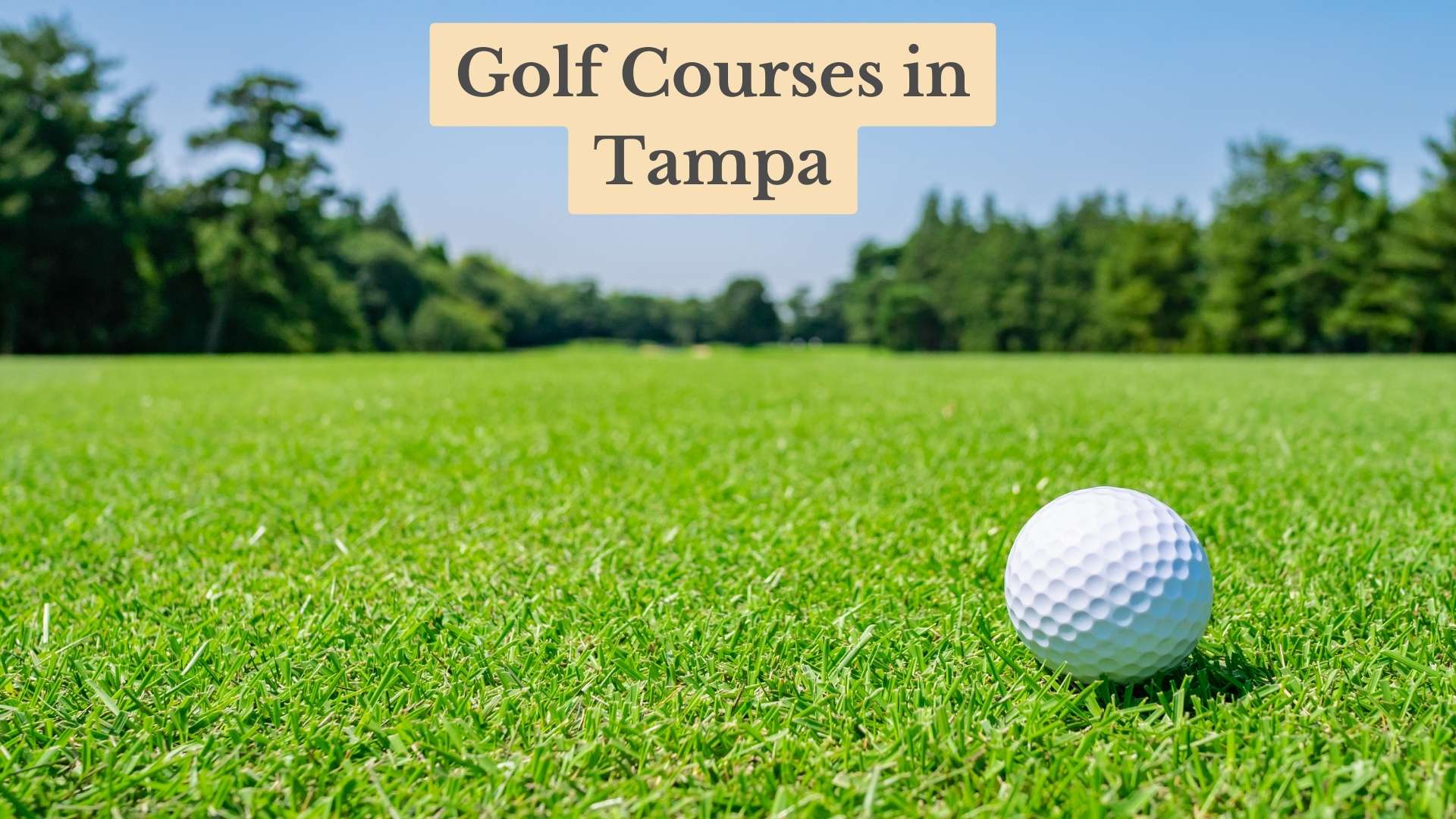 Golf ball on a sunny fairway with trees behind, under the title text "Golf Courses in Tampa"