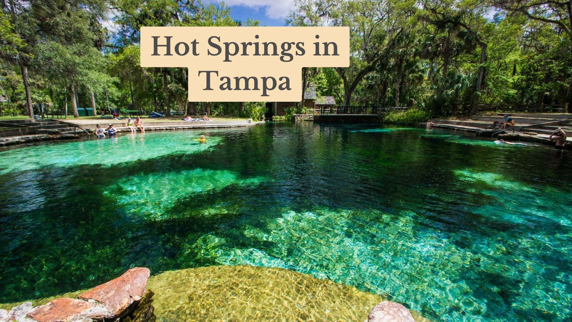 Clear turquoise spring pool ringed by trees, with swimmers at the edges; title text reads "Hot Springs in Tampa".