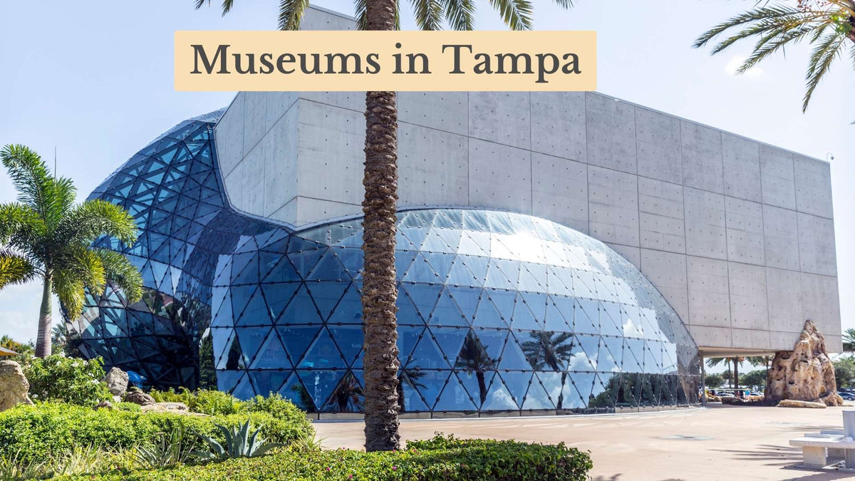 Title card "Museums in Tampa" over a modern museum with a curved glass bubble facade on a concrete block, framed by palm trees