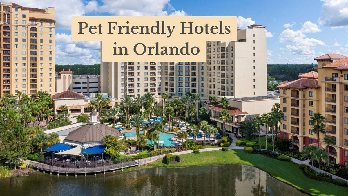 Title card "Pet Friendly Hotels in Orlando" over a resort with tall beige towers, palm trees, a pool and a lake