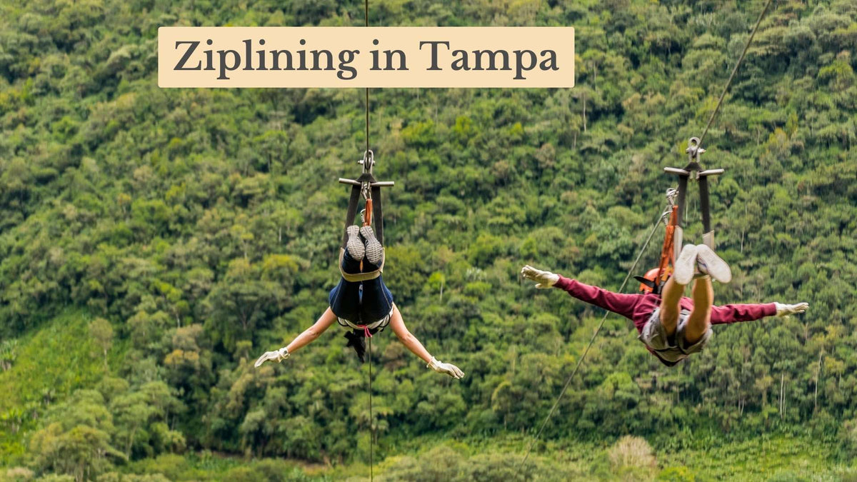 Two people zip down cables upside down with arms outstretched over a green forested hillside, under the title "Ziplining in Tampa".