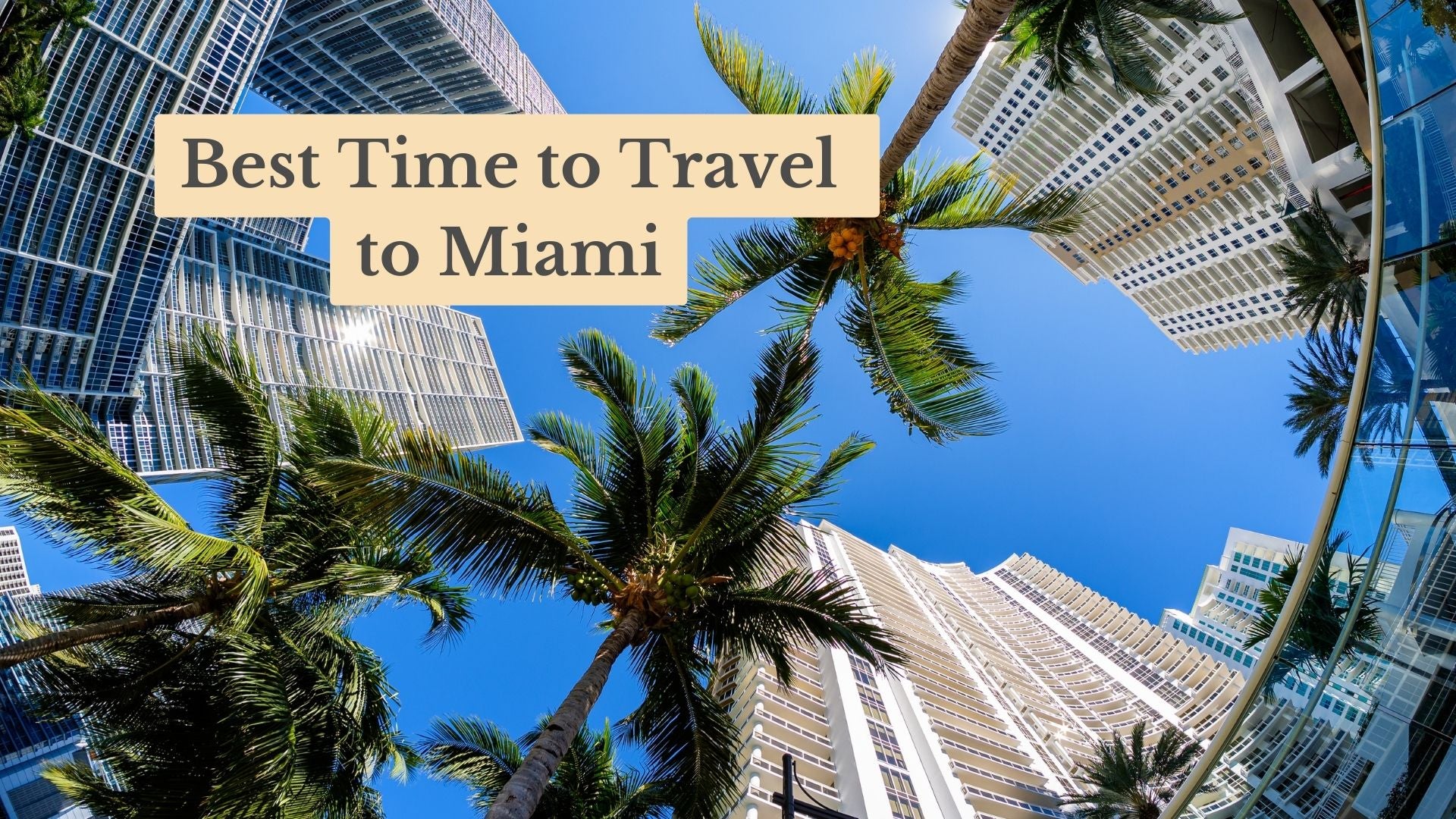 Best Time to Travel to Miami in 2025: Optimal Visits