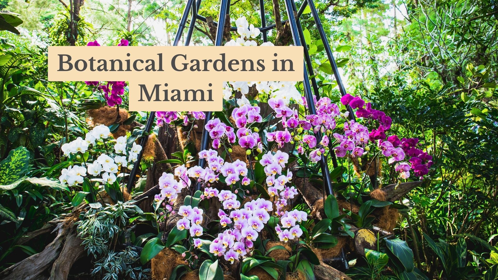 13 Beautiful Botanical Gardens in Miami - Fairchild Tropical Gardens