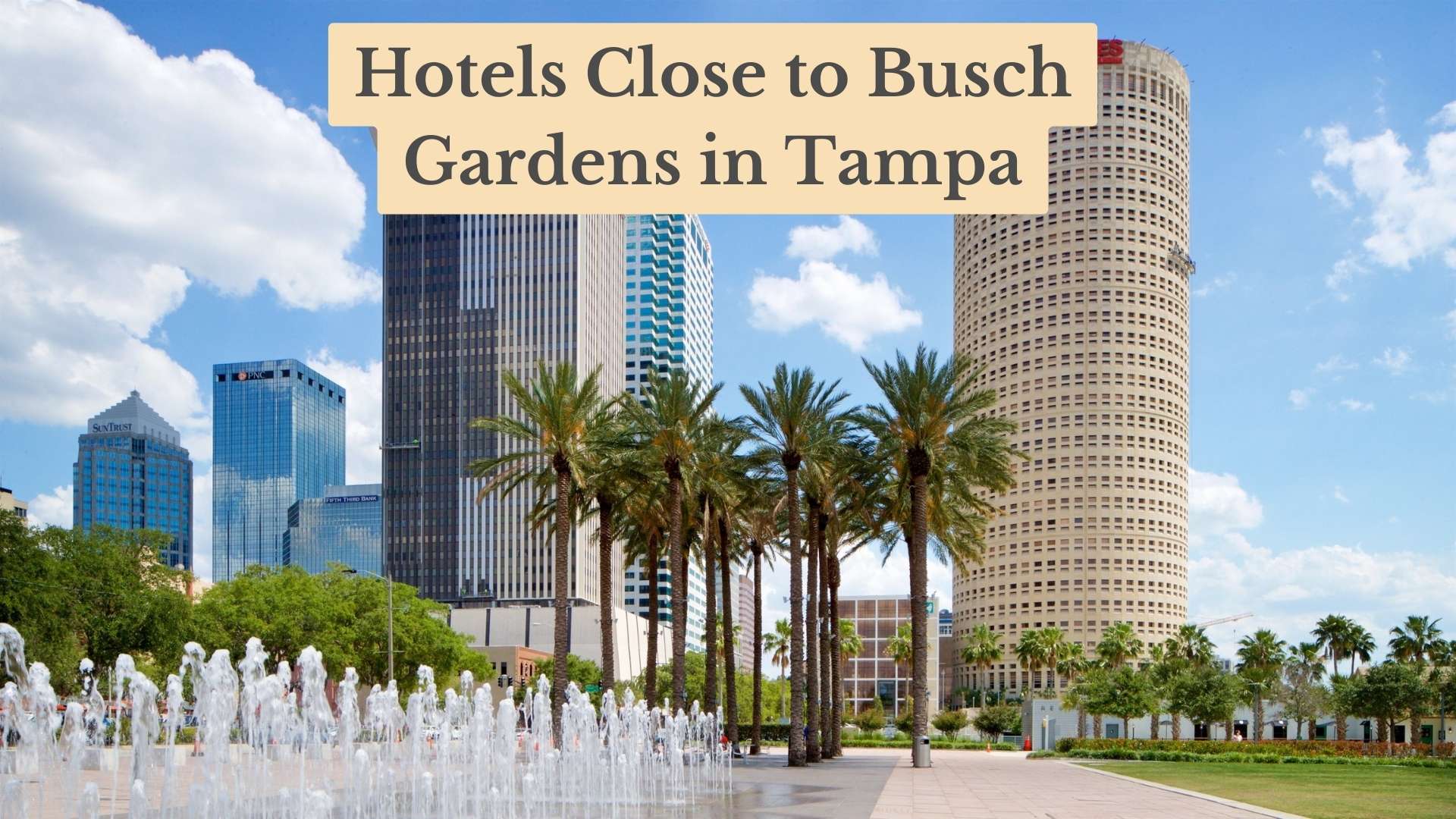 13 Best Hotels Close to Busch Gardens in Tampa - Stay Near the Fun