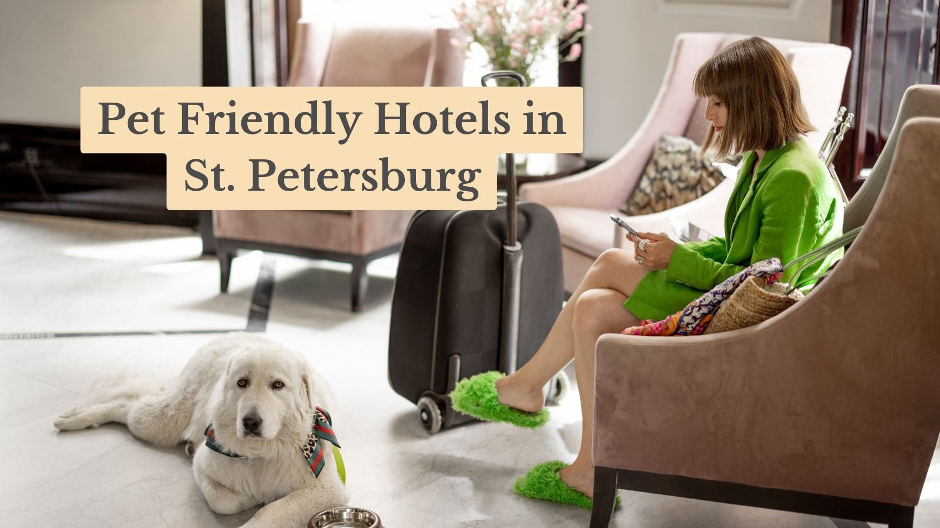 17 Best Pet Friendly Hotels in St. Petersburg FL for 2025 Getaways