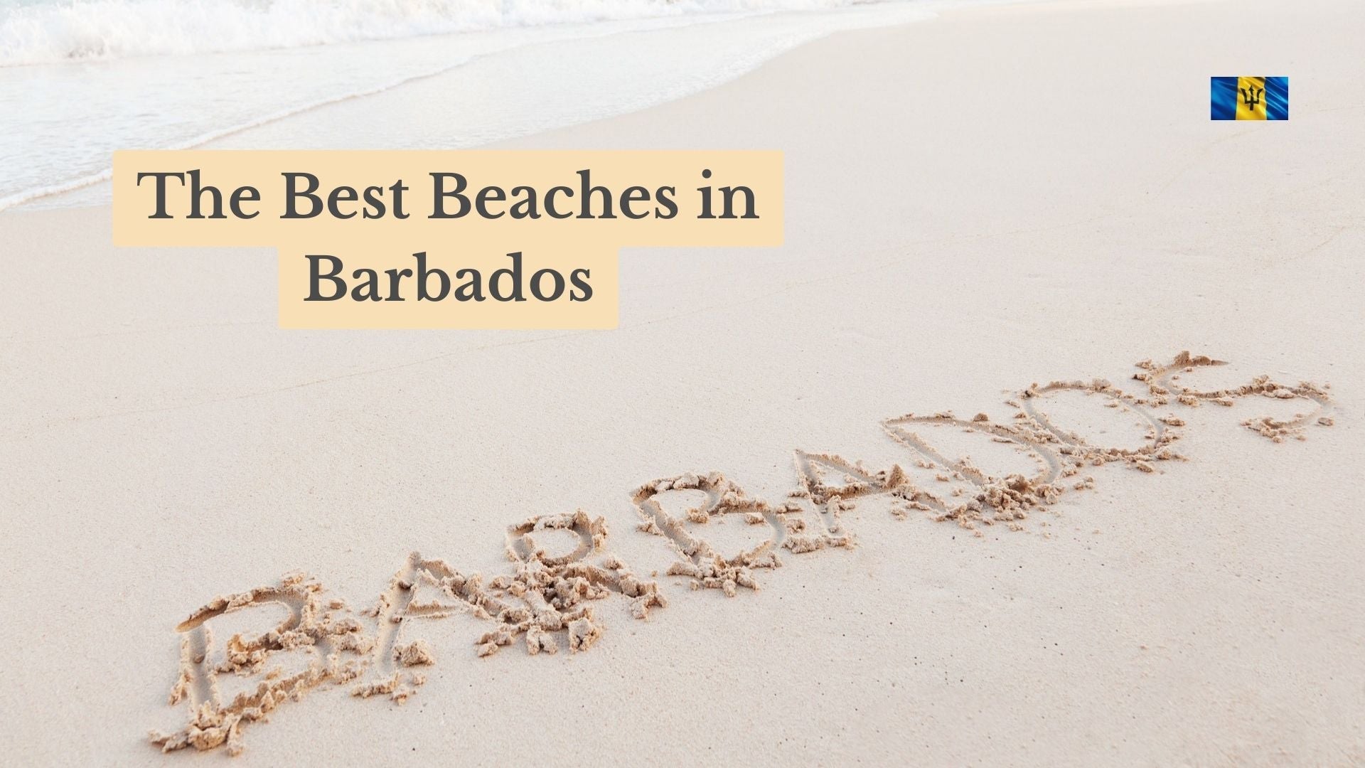 The 11 Best Beaches in Barbados in 2026 for Relaxing, Sunbathing, and Day Trips