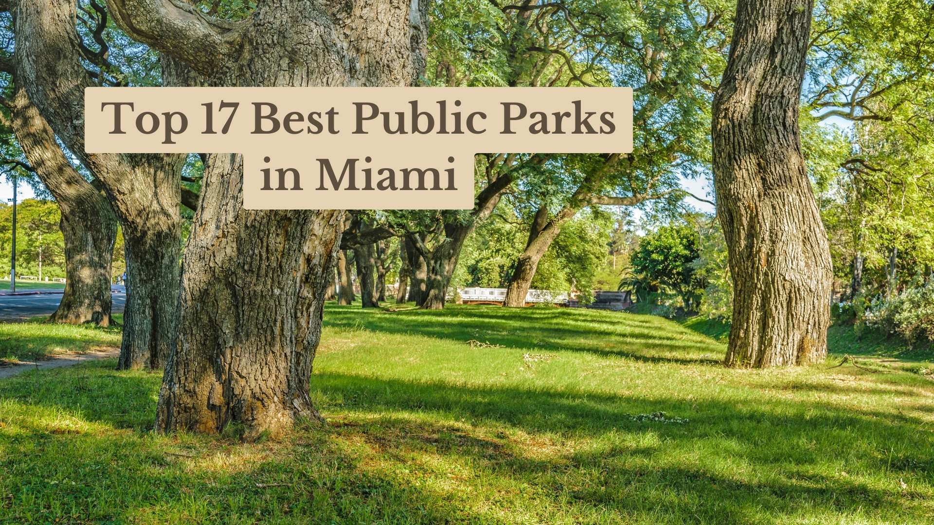 Top 17 Best Public Parks in Miami: Must-Visit Open Spaces