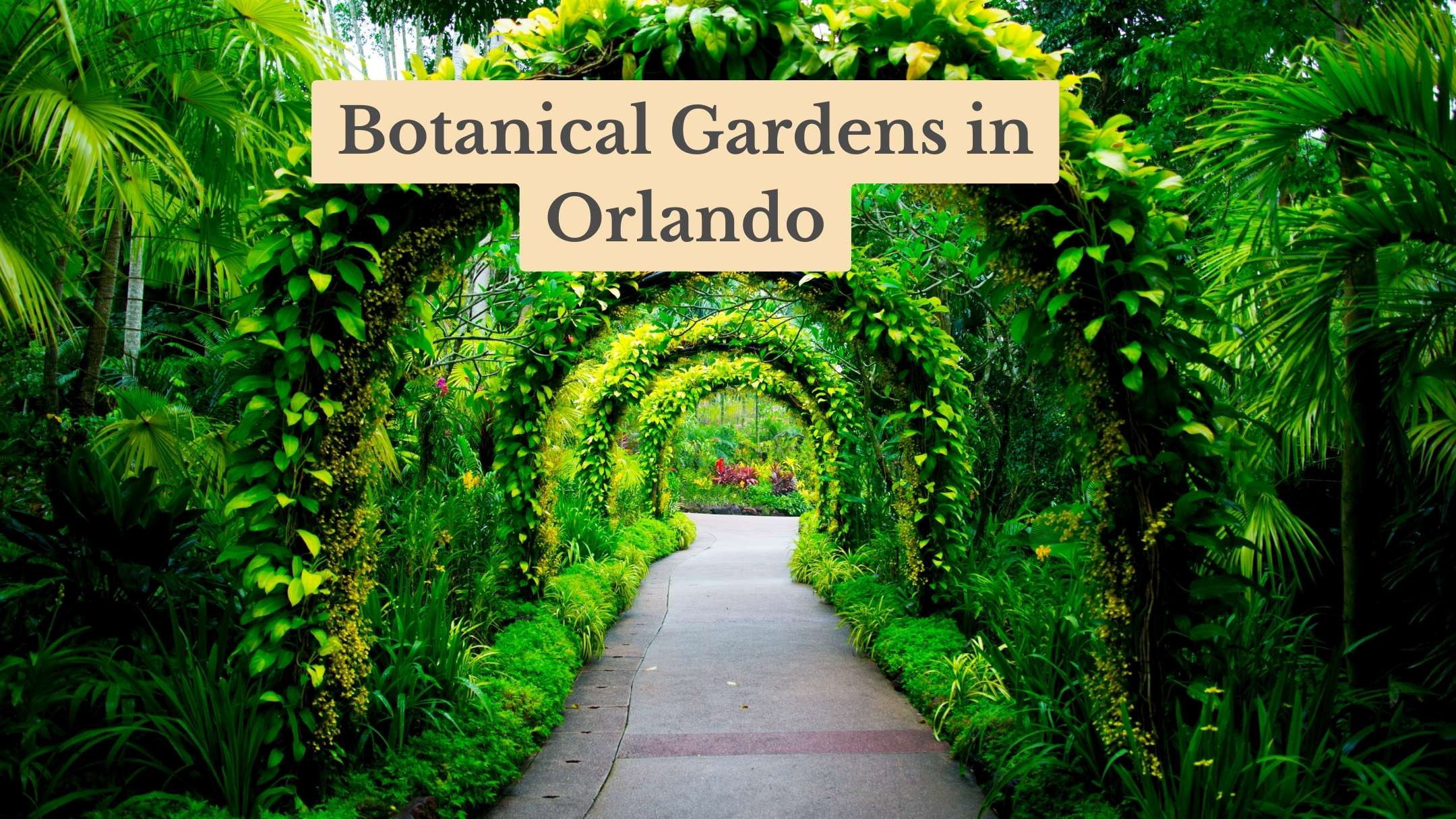 7 Must-Visit Botanical Gardens in Orlando in 2026: A Serene Escape