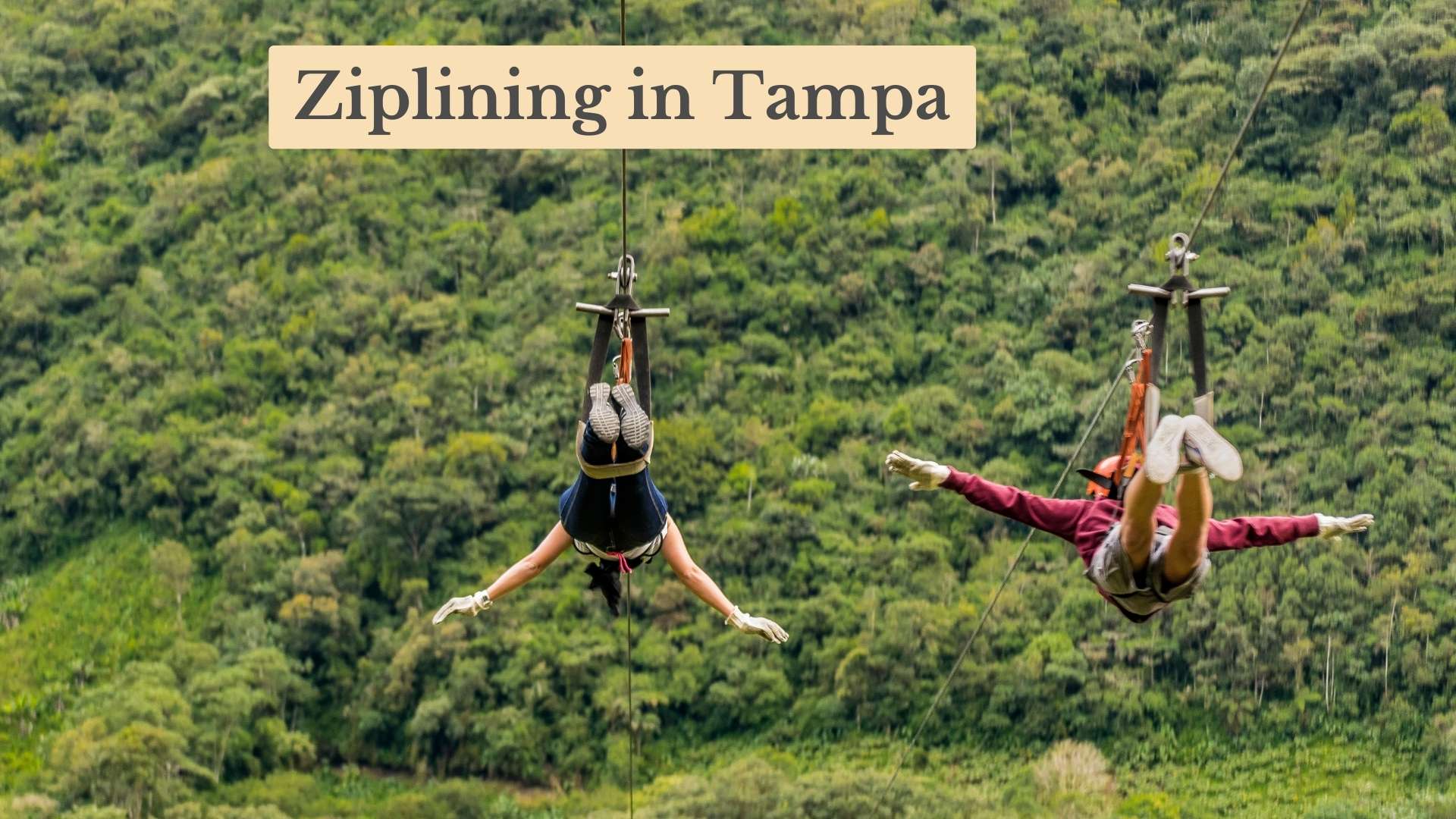 Top 7 Ziplining in Tampa: Empower Your Adventures Trip